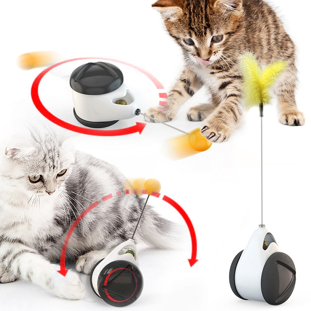 Cat Wheel - Brinquedo Interativo para Gatos